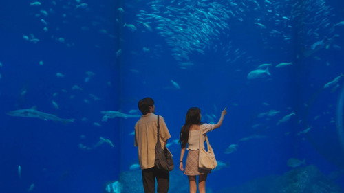 movie image